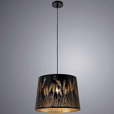Подвесной светильник Arte Lamp Celesta A2700SP-1BK