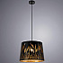 Подвесной светильник Arte Lamp Celesta A2700SP-1BK