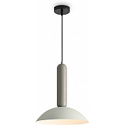 Подвесной светильник Lotus FR5551PL-01M