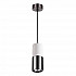 Подвесной светильник Odeon Light Duetta 3834/1