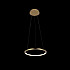 Подвесной светодиодный светильник Loft IT Ring 10014S