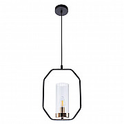 Подвесной светильник Arte Lamp Celaeno A7004SP-1BK