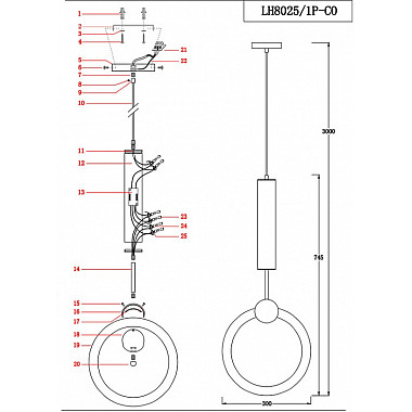 Подвесной светильник Dorian LH8025/1P-CO