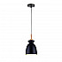 Подвесной светильник Toplight Marylou TL1202H-01BK