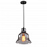 Подвесной светильник Arte Lamp Amiata A4255SP-1SM