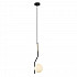 Подвесной светильник Lumien Hall Патерно LH4113/1PS-BK-BR