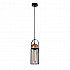 Подвесной светильник Rivoli Anemon 5062-201 Б0047359