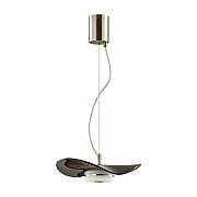 Подвесной светодиодный светильник Odeon Light Fluent 4859/10LA