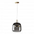 Подвесной светодиодный светильник Loft IT Dauphin 10041A