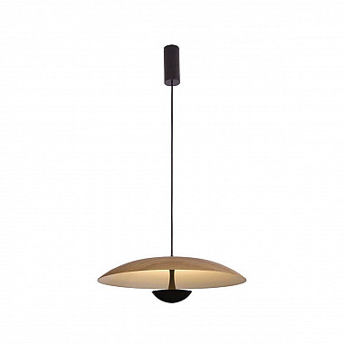 Подвесной светильник Lumien Hall Arta 8007/1PL-WD