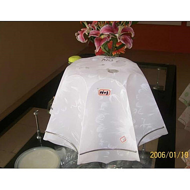 Подвесной светильник PS1N 000026035