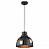 Подвесной светильник Arte Lamp Eurica A6024SP-1BK