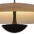 Подвесной светильник Lumien Hall Arta 8007/1PL-WD