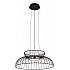 Подвесной светильник Citrus FR5398PL-L6B