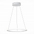 Подвесной светодиодный светильник ST Luce ST604.543.22