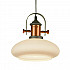 Подвесной светильник Lussole Loft GRLSP-9845