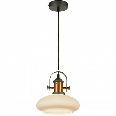 Подвесной светильник Lussole Loft GRLSP-9845