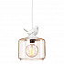 Подвесной светильник Loft IT Loft1806