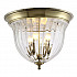 Потолочный светильник Crystal Lux Jugo PL4 Bronze/Transparente