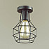 Потолочный светильник Lumion Harald 3637/1C
