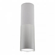 Потолочный светодиодный светильник Escada 20007SMU/02LED SWH/CH