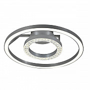 Потолочный светодиодный светильник Favourite Sanori 2593-2U