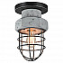 Потолочный светильник Lussole Loft LSP-9701
