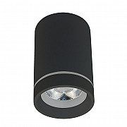 Потолочный светодиодный светильник Aployt Edda APL.0053.19.10
