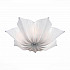 Потолочный светильник ST Luce Fiore SL359.502.07