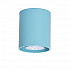 Потолочный светильник TopDecor Tubo8 P1 25