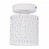 Потолочный светильник Arte Lamp Traforato A8349PL-1WH
