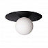 Потолочный светильник Loft IT Ufo 10120/250C Black