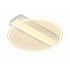 Потолочный светодиодный светильник Ambrella light Original FA613