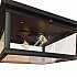 Потолочный светильник Loft IT Loft3110-2C