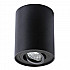 Потолочный светильник Arte Lamp A5644PL-1BK