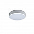 Потолочный светодиодный светильник Loft IT Axel 10002/12 white