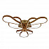 Потолочный светодиодный светильник F-Promo Bluten 2548-3U