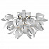 Потолочный светильник Lussole Loft LSA-5927-09