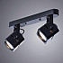 Потолочный светильник Arte Lamp A1315PL-2BK