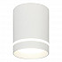 Потолочный светодиодный светильник Escada 20009SMU/01LED SWH