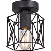 Потолочный светильник V4382-1/1PL