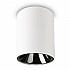 Потолочный светодиодный светильник Ideal Lux Nitro 15W Round Bianco 205977