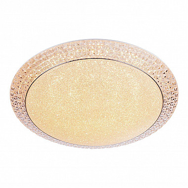 Потолочный светодиодный светильник Escada 10273/S LED