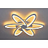 Потолочный светодиодный светильник Escada 10208/6LED