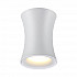 Потолочный светильник Odeon Light Zetta 4271/1C