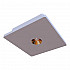 Потолочный светодиодный светильник Loft IT Architect OL1072-WG/1