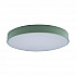 Потолочный светодиодный светильник Loft IT Axel 10002/24 green