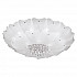 Потолочный светильник Lightstar Lobo 804070