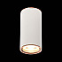 Потолочный светильник ST Luce Chomus ST111.527.01