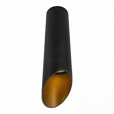 Потолочный светильник Arte Lamp Pilon-Gold A1535PL-1BK
